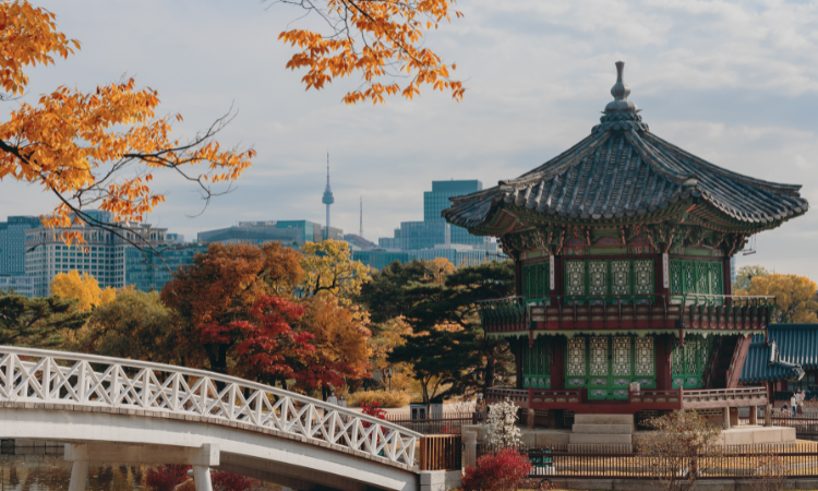 Japan and South Korea tours 