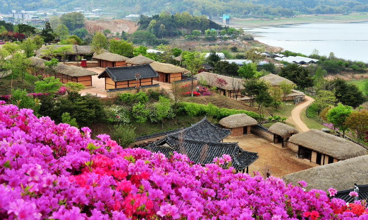 Japan and South Korea tours