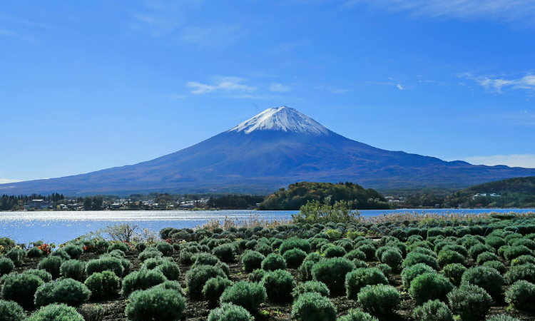 Japan and South Korea tours