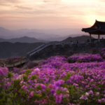 Japan and South Korea Tours: How to Plan the Perfect Multi-Country Route