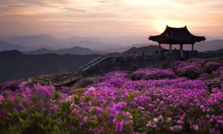 Japan and South Korea Tours: How to Plan the Perfect Multi-Country Route