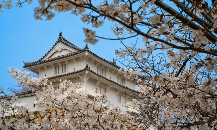10 day Japan itinerary