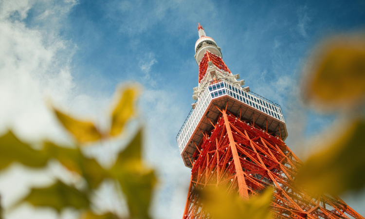Tokyo tour guide