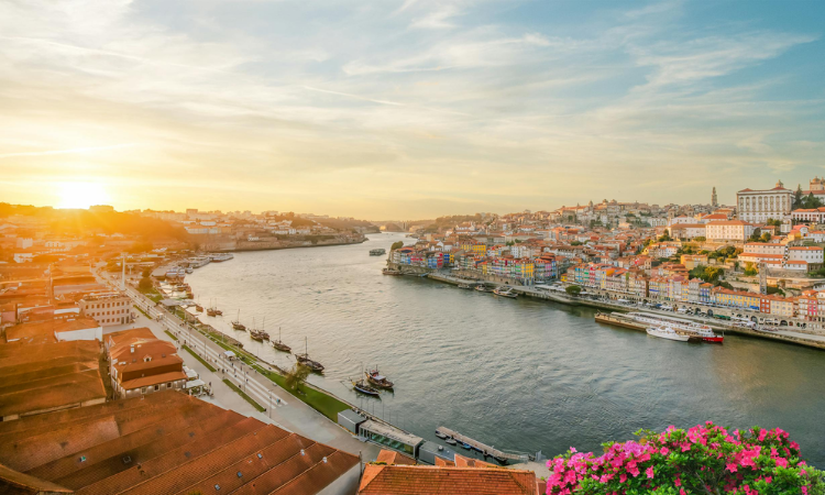 best things to do in porto