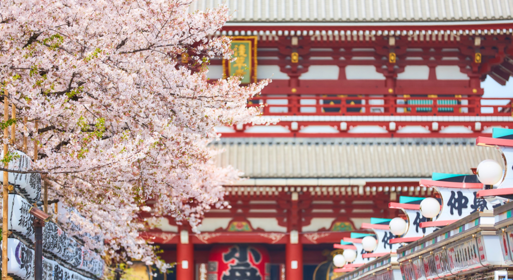 Tokyo vs Kyoto 