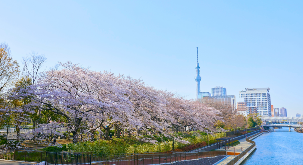 Tokyo vs Kyoto 